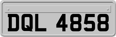 DQL4858