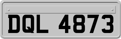 DQL4873
