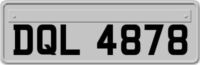 DQL4878
