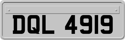 DQL4919