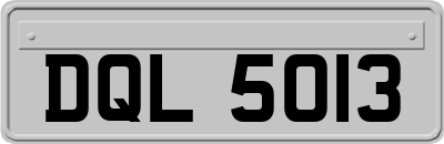 DQL5013
