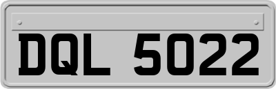 DQL5022