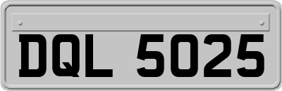 DQL5025