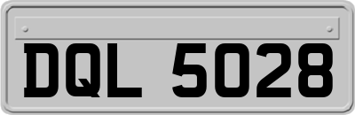 DQL5028