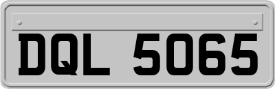 DQL5065