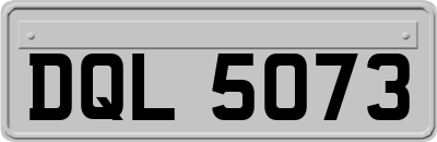 DQL5073