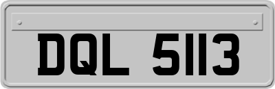 DQL5113