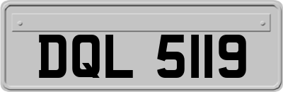 DQL5119