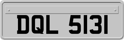 DQL5131