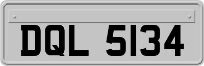 DQL5134