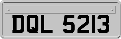 DQL5213
