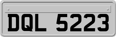 DQL5223