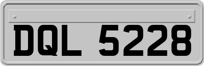 DQL5228
