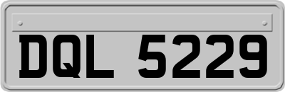 DQL5229