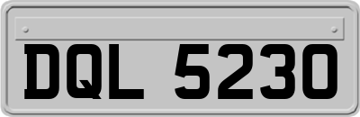 DQL5230