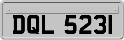 DQL5231