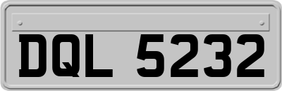 DQL5232