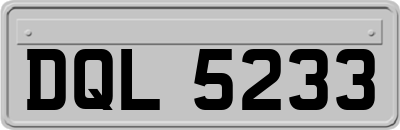 DQL5233