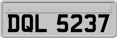 DQL5237