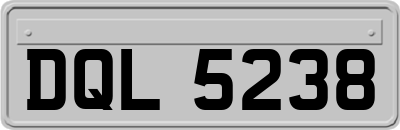 DQL5238