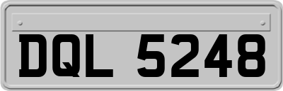 DQL5248