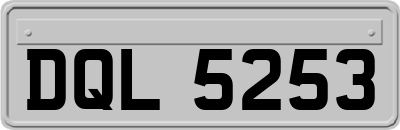 DQL5253