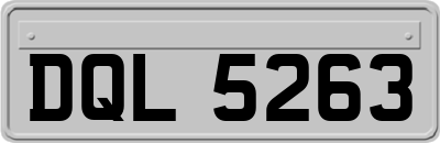 DQL5263