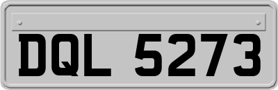 DQL5273