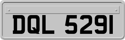 DQL5291