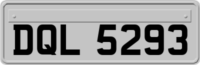 DQL5293