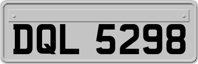 DQL5298