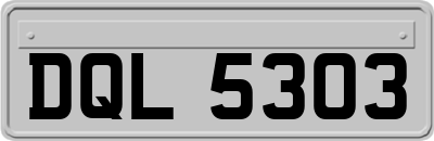DQL5303
