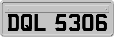 DQL5306