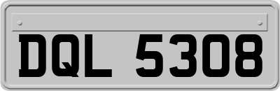 DQL5308