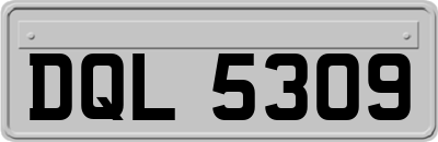 DQL5309