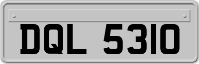 DQL5310