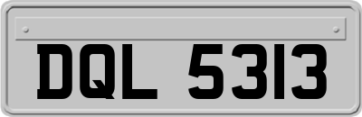 DQL5313