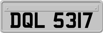 DQL5317