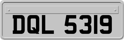 DQL5319