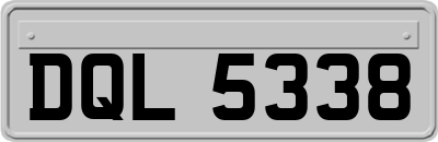 DQL5338