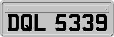 DQL5339