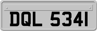 DQL5341