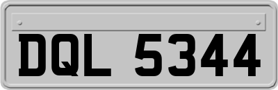 DQL5344