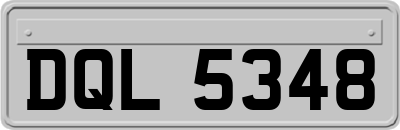 DQL5348