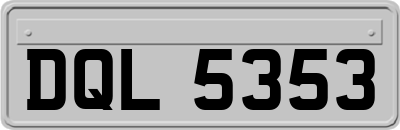 DQL5353