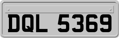 DQL5369