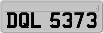 DQL5373