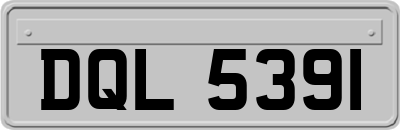DQL5391