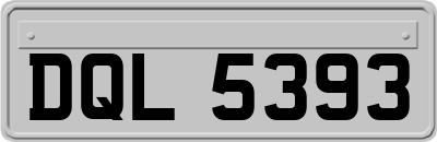 DQL5393