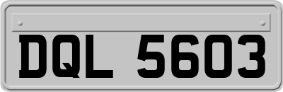 DQL5603